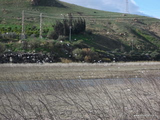 nte Barca-22-12-2012 11-13-42